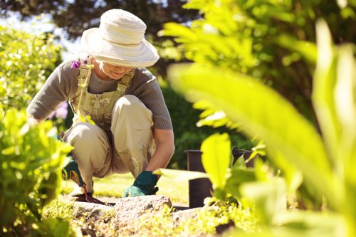 Maintenance and repair services for decks
