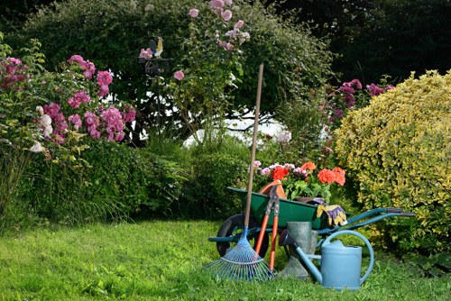 Gardener assessing a garden boundary