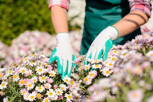 Expert gardening team at Gardener Mottingham