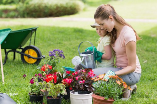 Lush green lawn maintained by experts in Mottingham