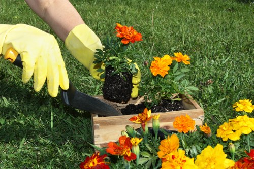 Close-up of a gardener using a tablet with accessibility settings
