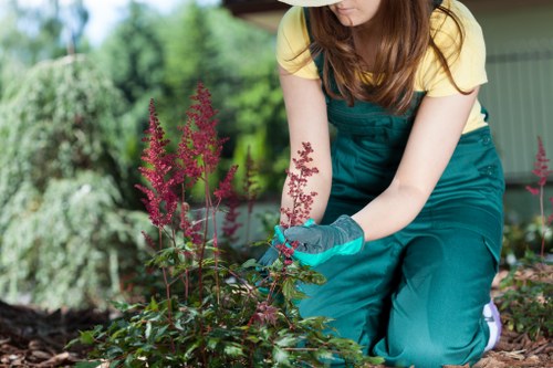 Professional arborist inspecting a tree