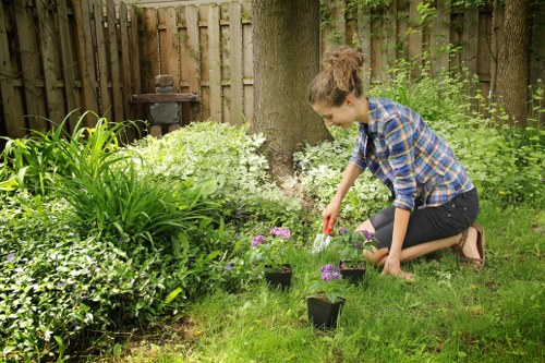 Clean and safe property after tree removal