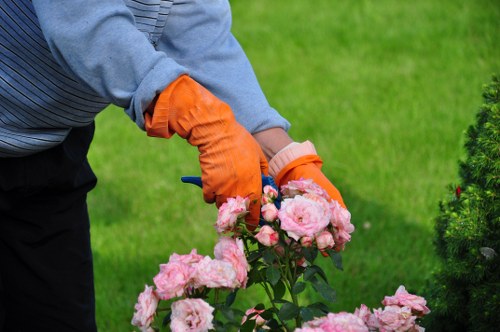 Comprehensive gardening services offered