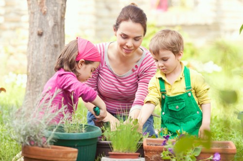 Lush Mottingham garden showcasing expert landscaping